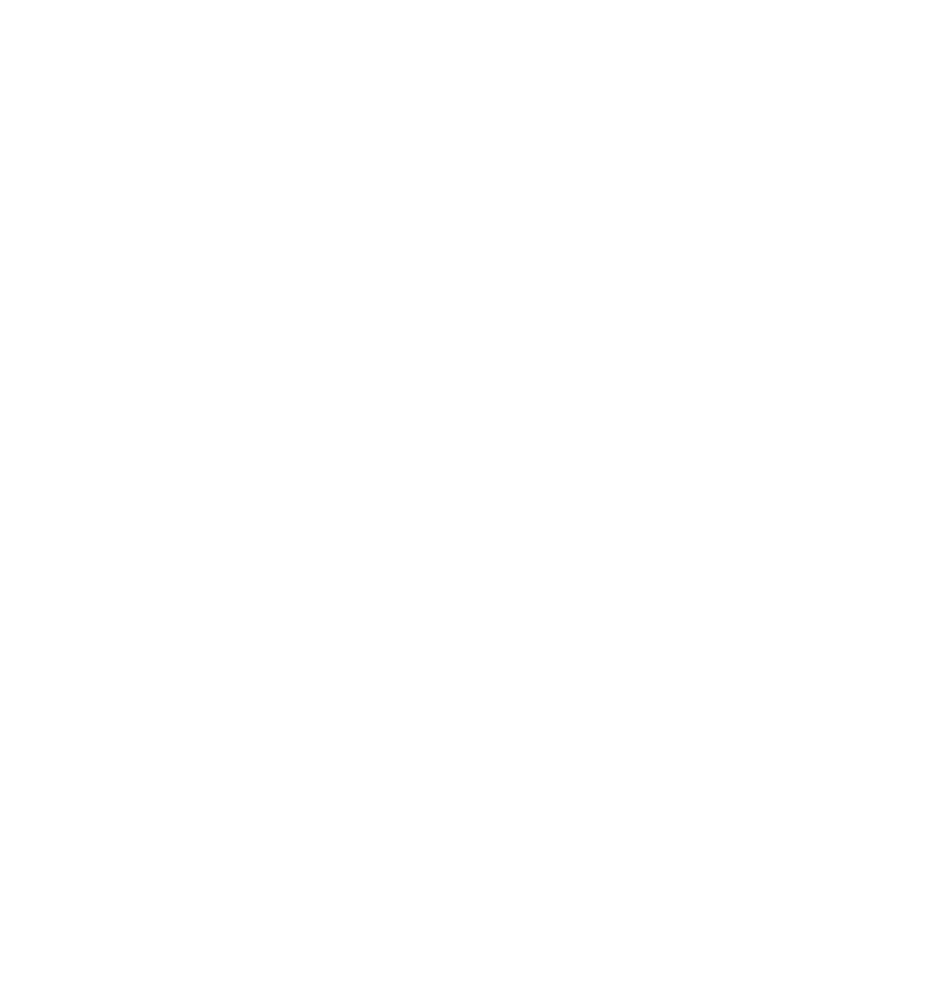 sillouete